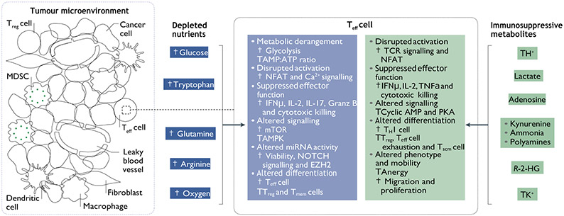 Fig. 2 ∣