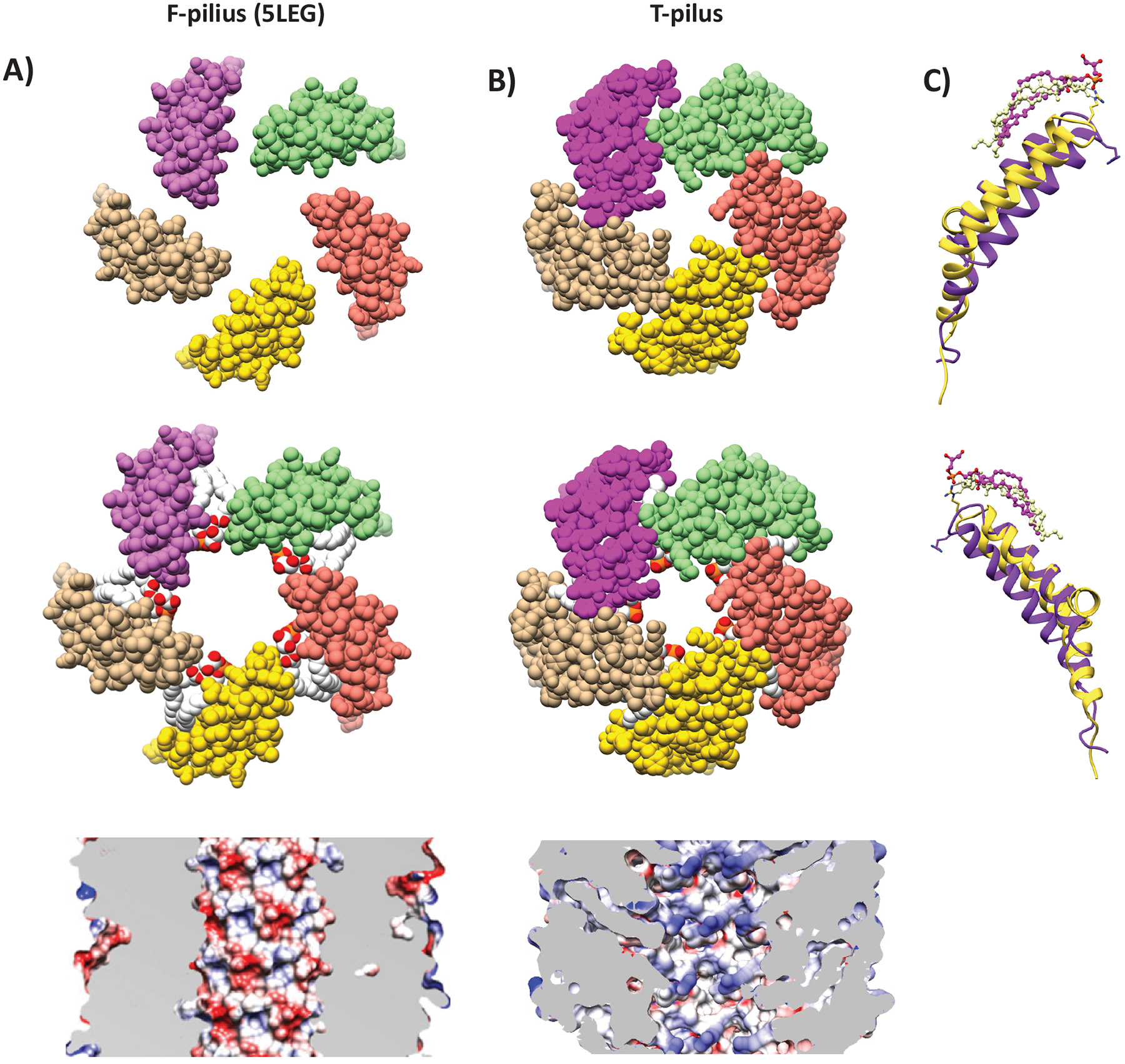 Figure 6.