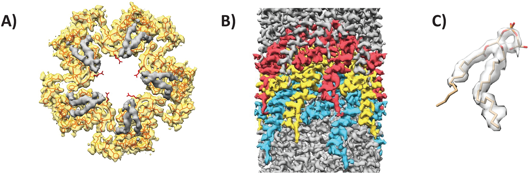 Figure 2.