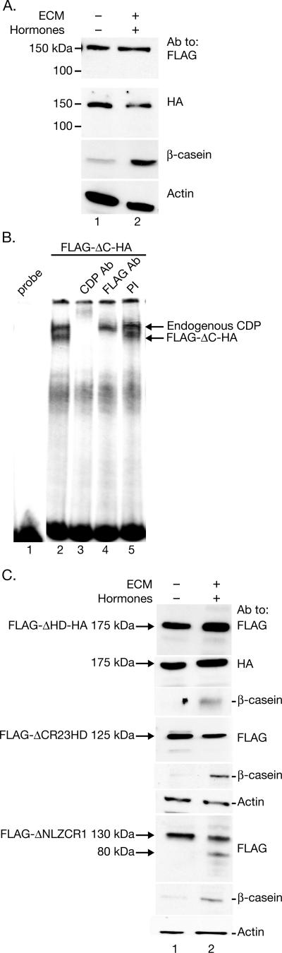 FIG. 5.