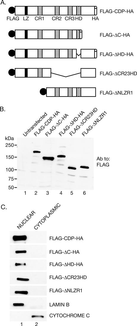 FIG. 4.