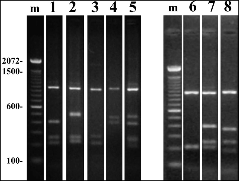 Supplementary Figure S1.