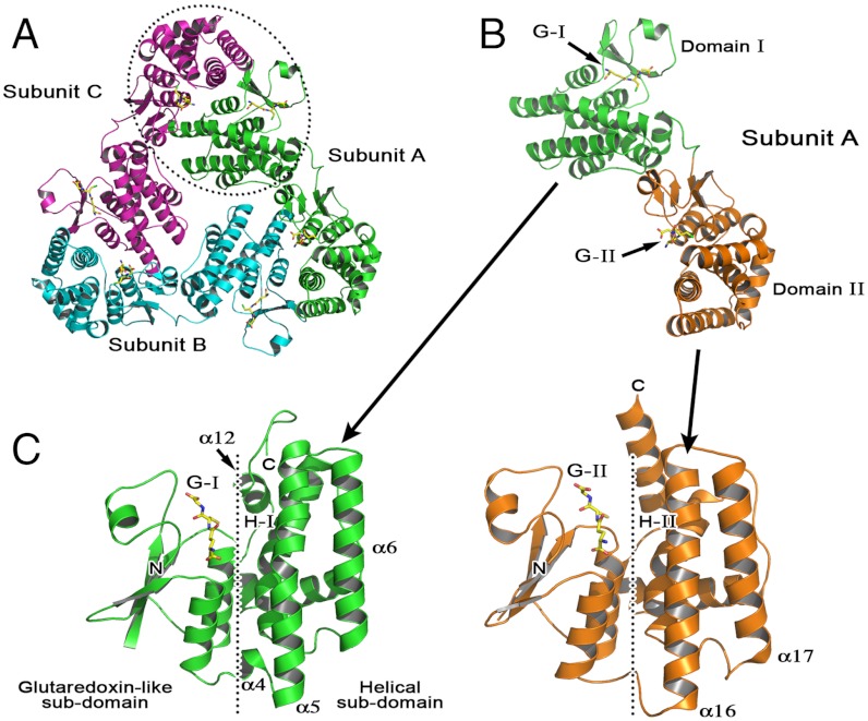 Fig. 1.