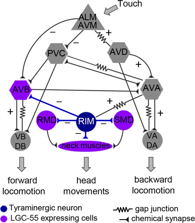 Fig 4