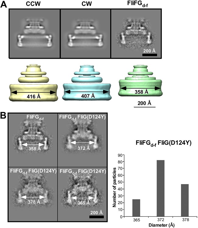 FIG 6