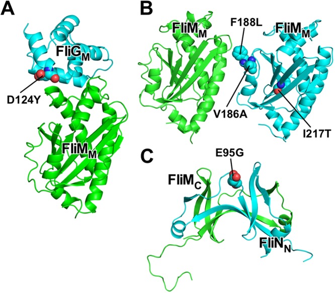 FIG 5