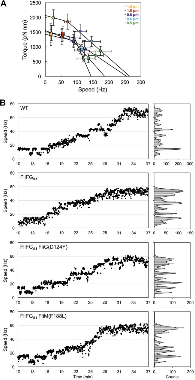 FIG 3