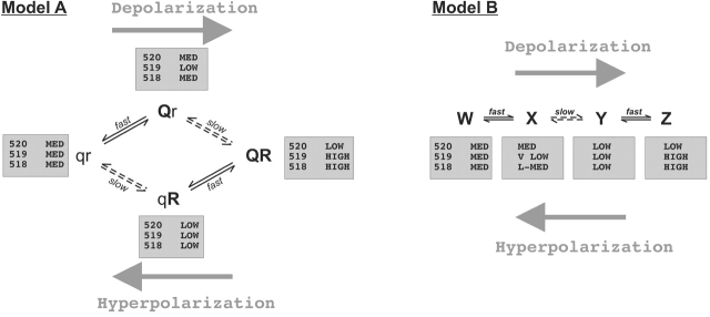 Figure 11. 