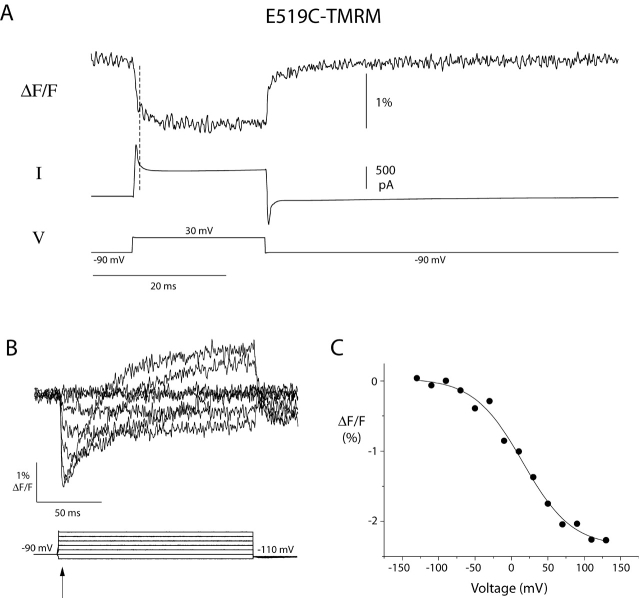 Figure 9. 