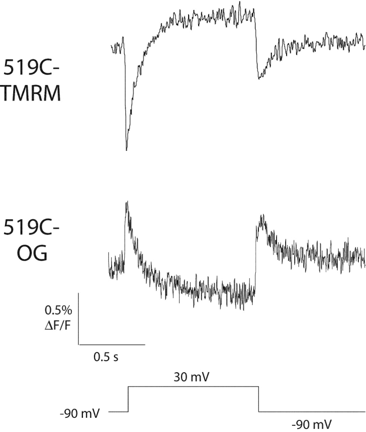 Figure 10. 