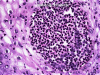 FIG. 9.