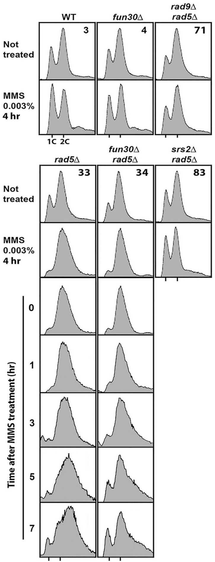 Fig 8