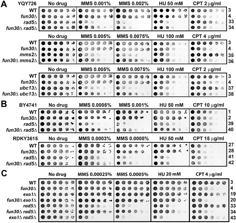 Fig 3