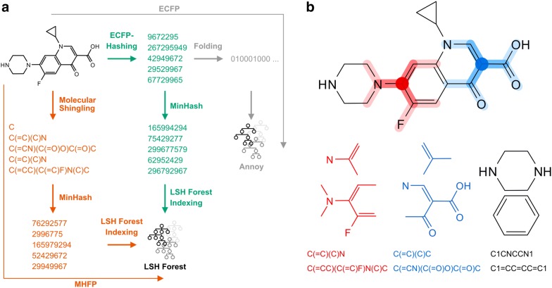 Fig. 1