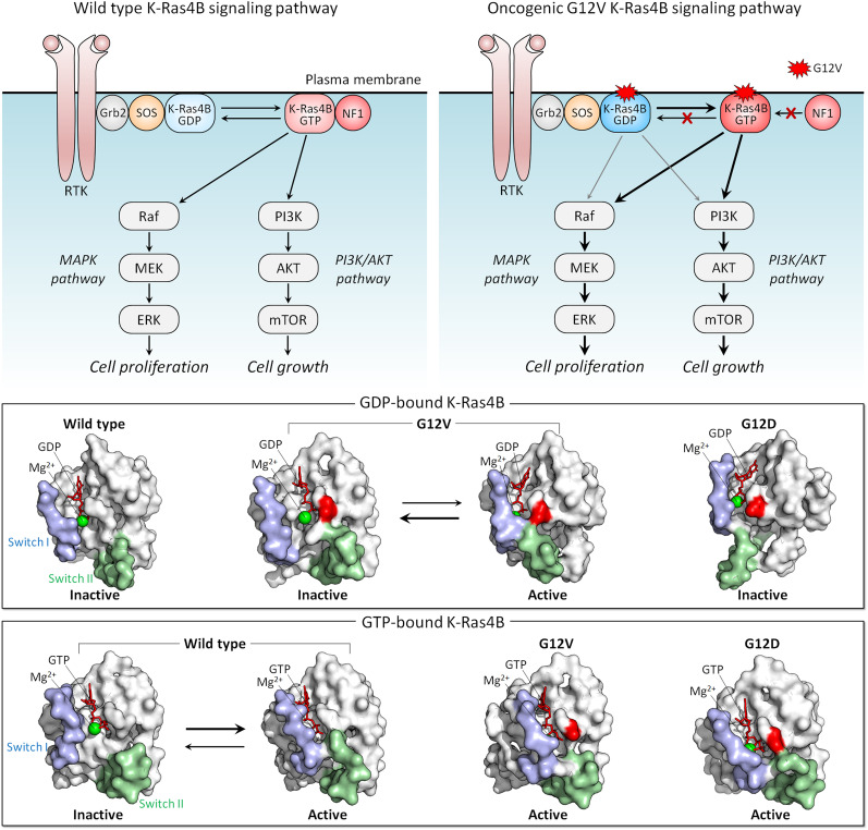 Fig. 4