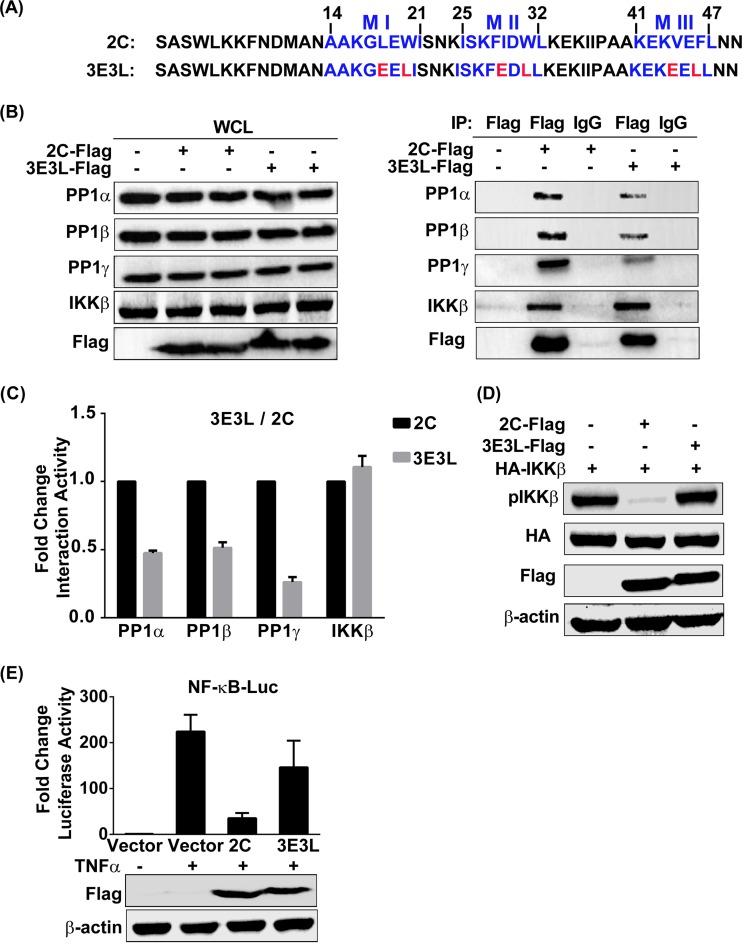 FIG 5