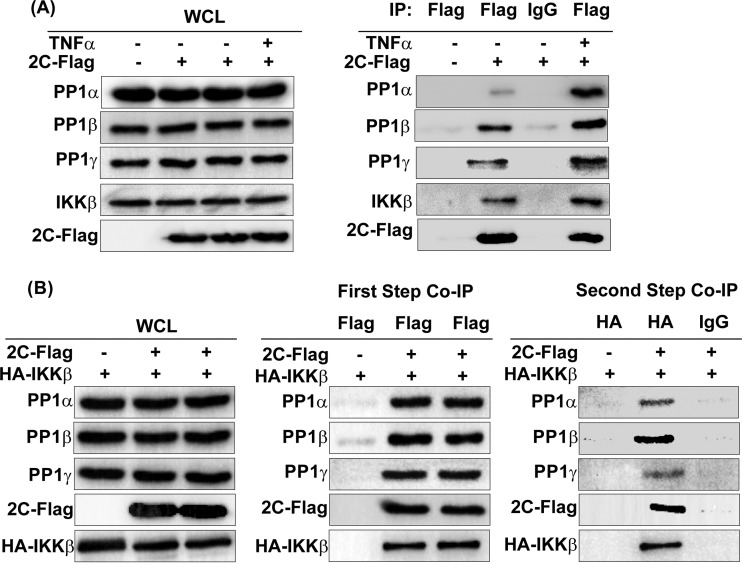 FIG 6