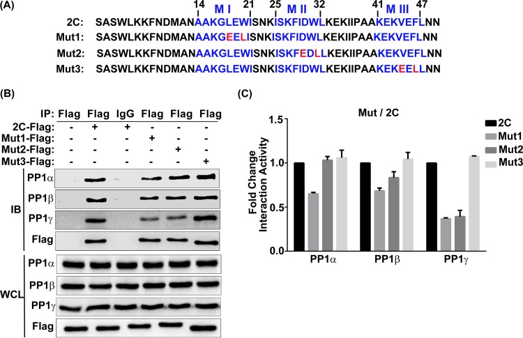 FIG 4