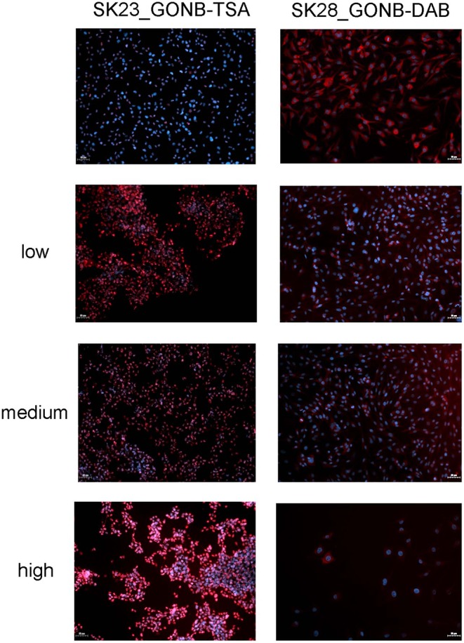 Figure 10