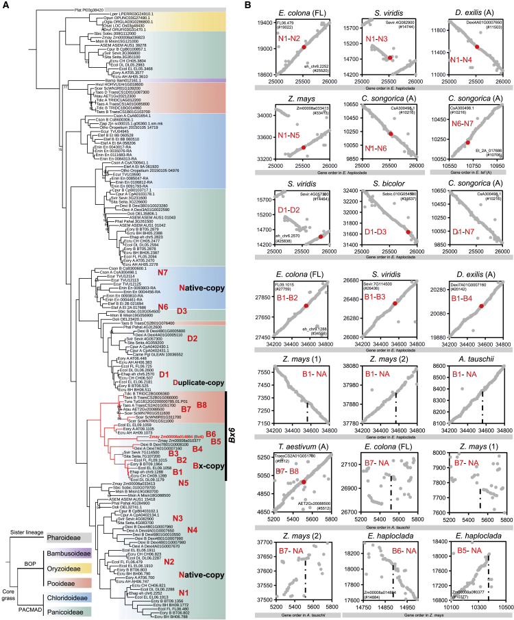 Figure 3