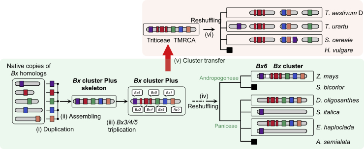 Figure 5