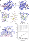 Fig. 3.