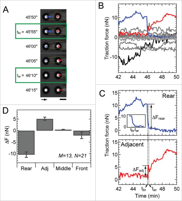 Figure 4.