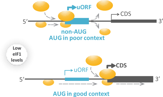 Figure 10.