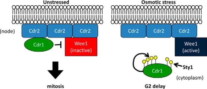 Figure 10.