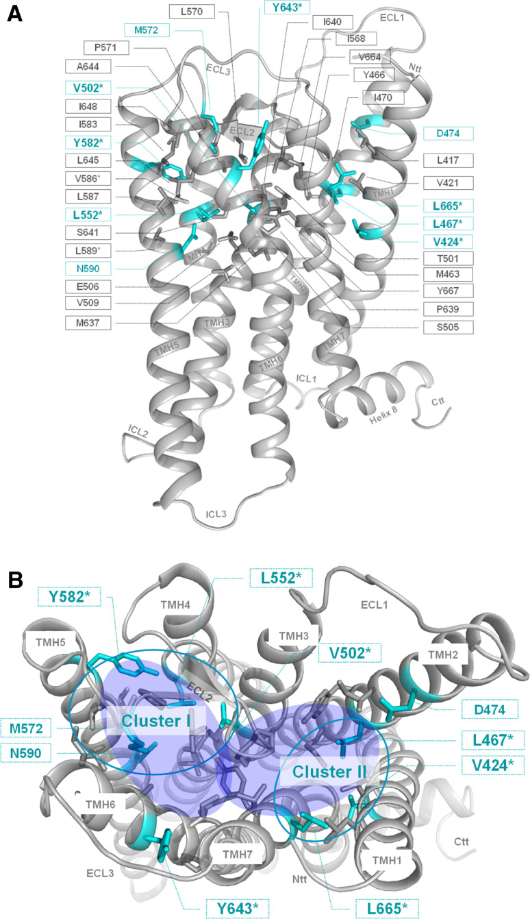 Fig. 3