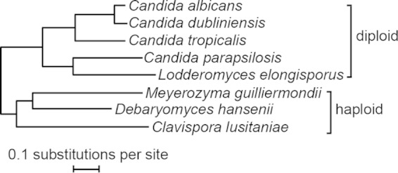 FIG 1