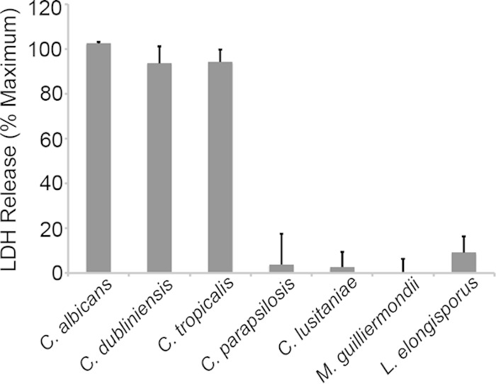 FIG 6