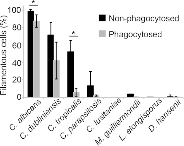 FIG 5