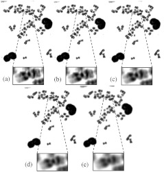 Fig. 7