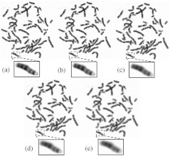 Fig. 8