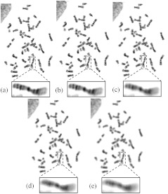 Fig. 9