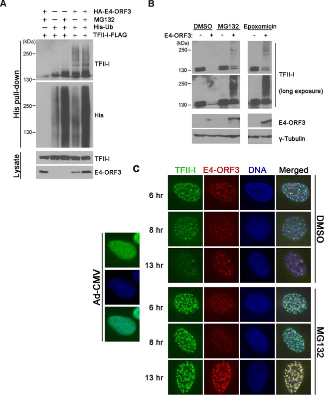 FIG 6 