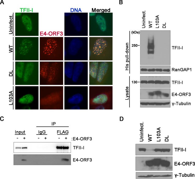 FIG 3 