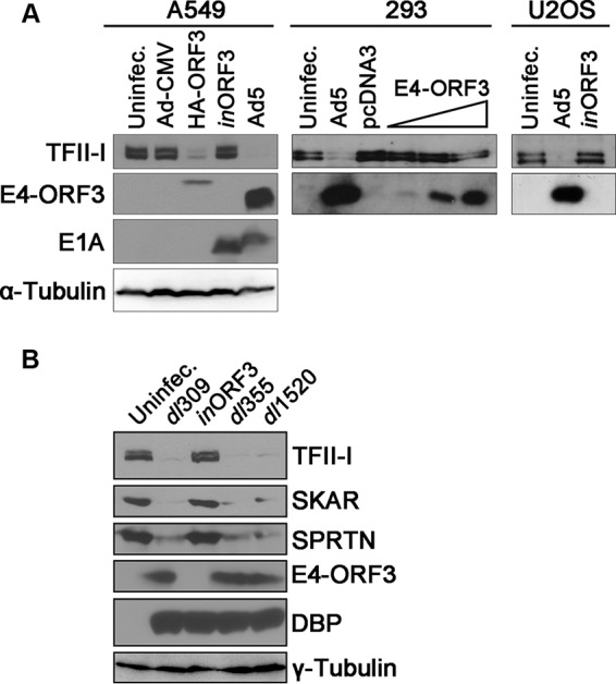 FIG 2 