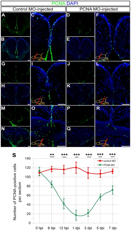 Figure 4: