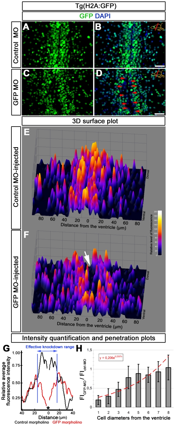 Figure 2: