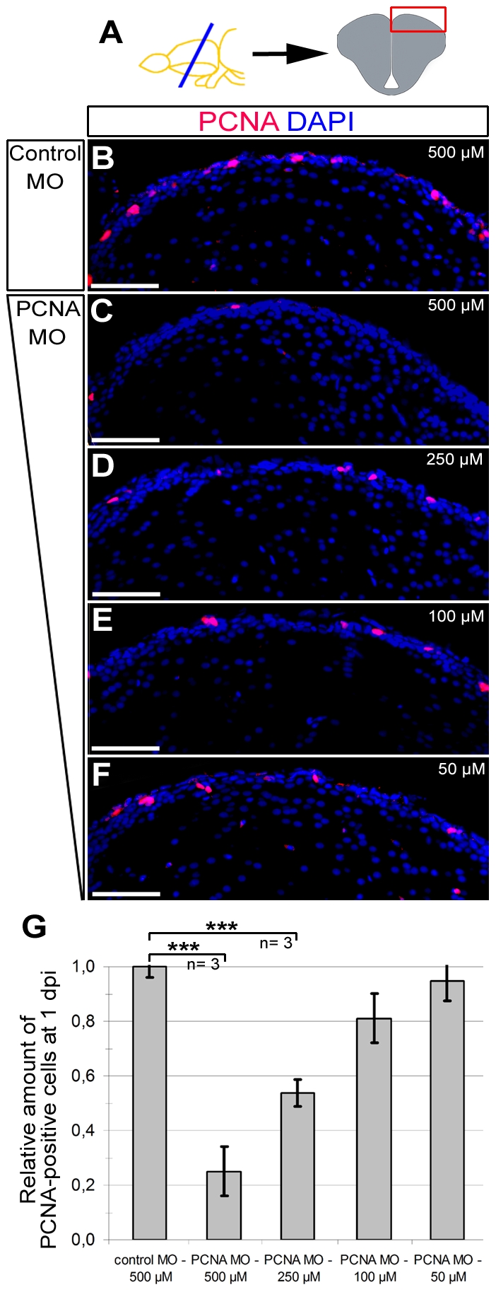 Figure 6: