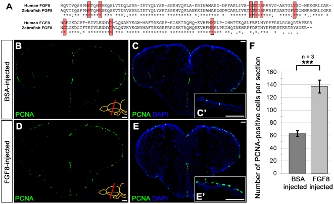 Figure 7: