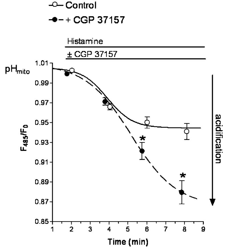 Fig. 5