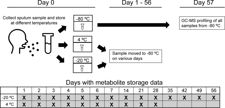 FIG 2 