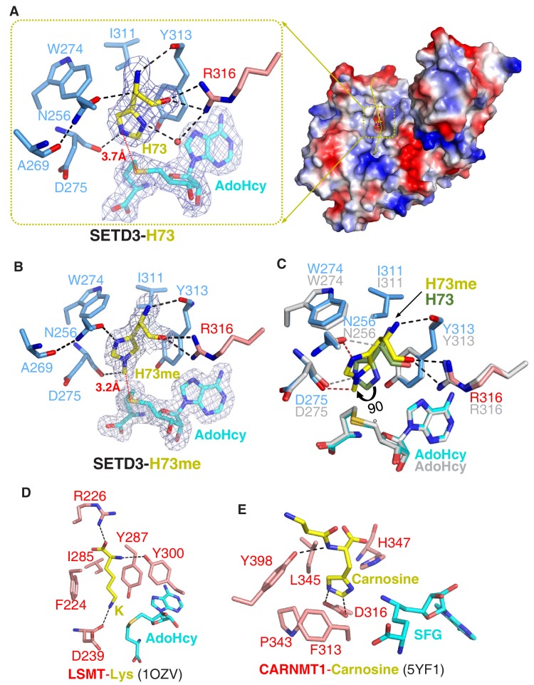 Figure 2.