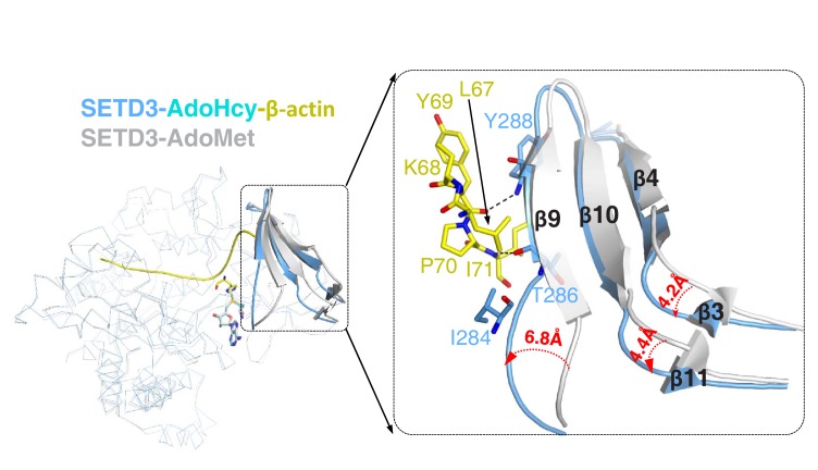 Figure 1—figure supplement 7.