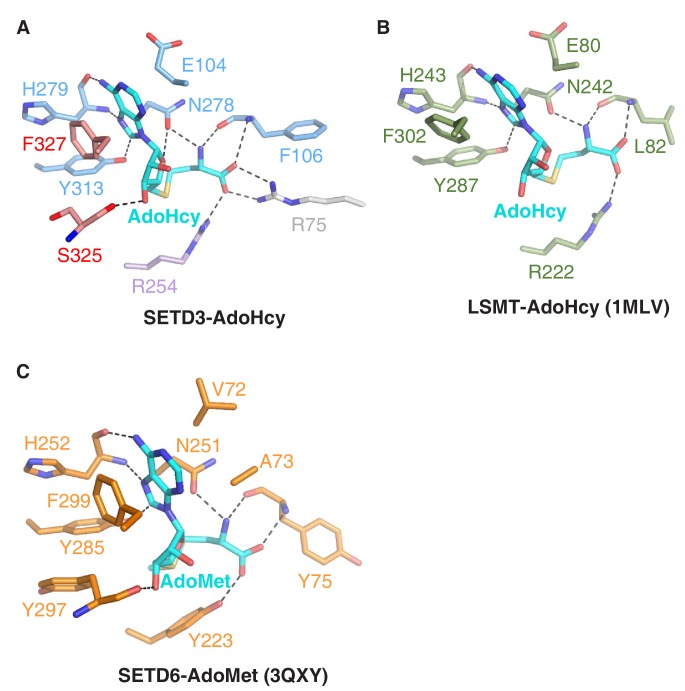 Figure 1—figure supplement 6.