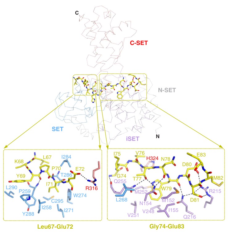 Figure 2—figure supplement 1.