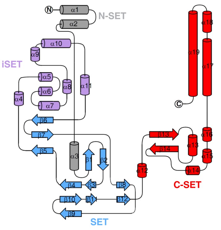 Figure 1—figure supplement 3.